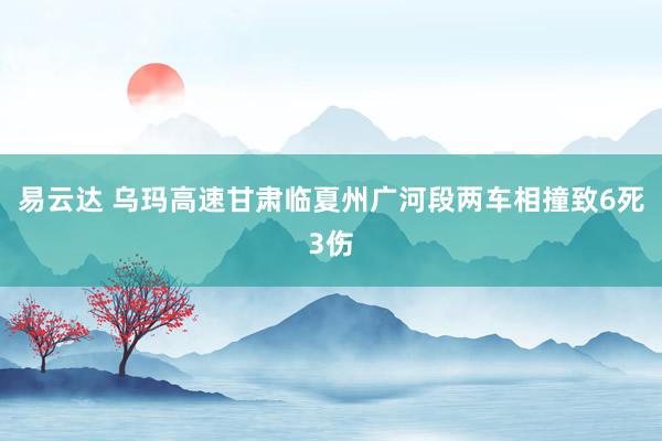 易云达 乌玛高速甘肃临夏州广河段两车相撞致6死3伤