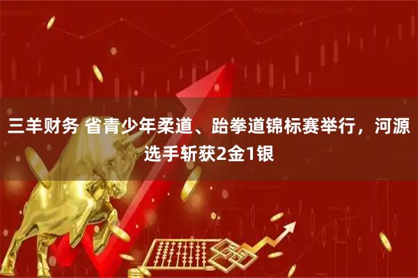 三羊财务 省青少年柔道、跆拳道锦标赛举行，河源选手斩获2金1银