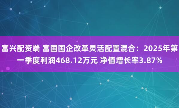 富兴配资端 富国国企改革灵活配置混合：2025年第一季度利润468.12万元 净值增长率3.87%