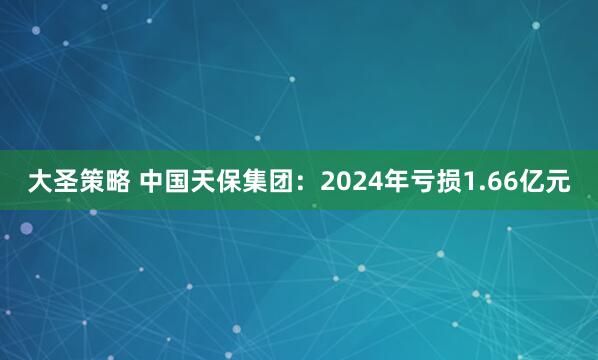 大圣策略 中国天保集团：2024年亏损1.66亿元