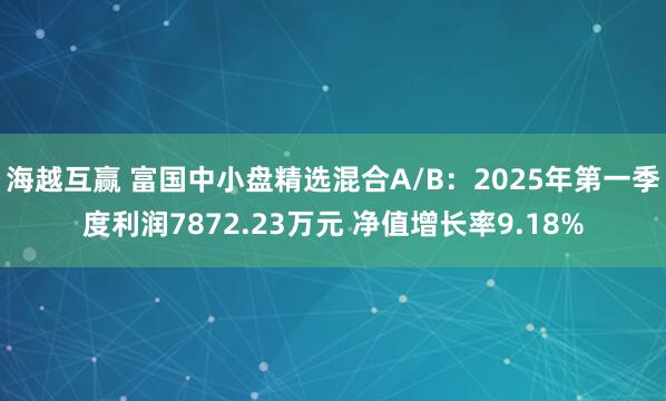海越互赢 富国中小盘精选混合A/B：2025年第一季度利润7872.23万元 净值增长率9.18%