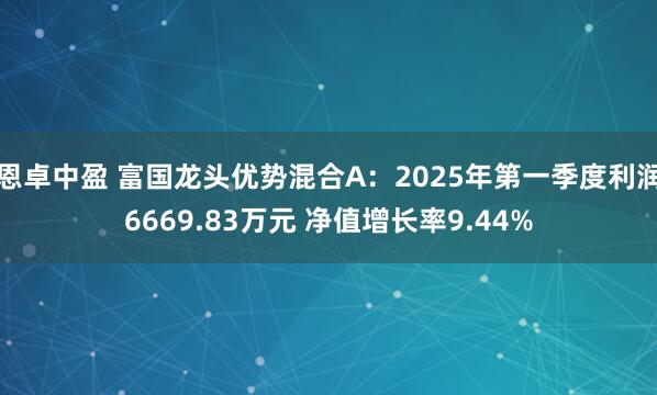 恩卓中盈 富国龙头优势混合A：2025年第一季度利润6669.83万元 净值增长率9.44%