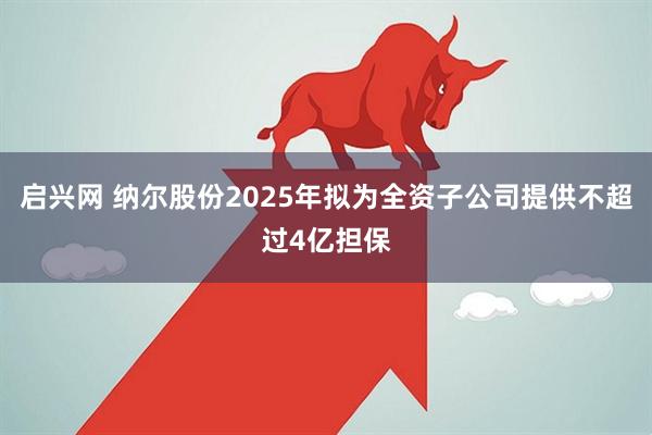 启兴网 纳尔股份2025年拟为全资子公司提供不超过4亿担保